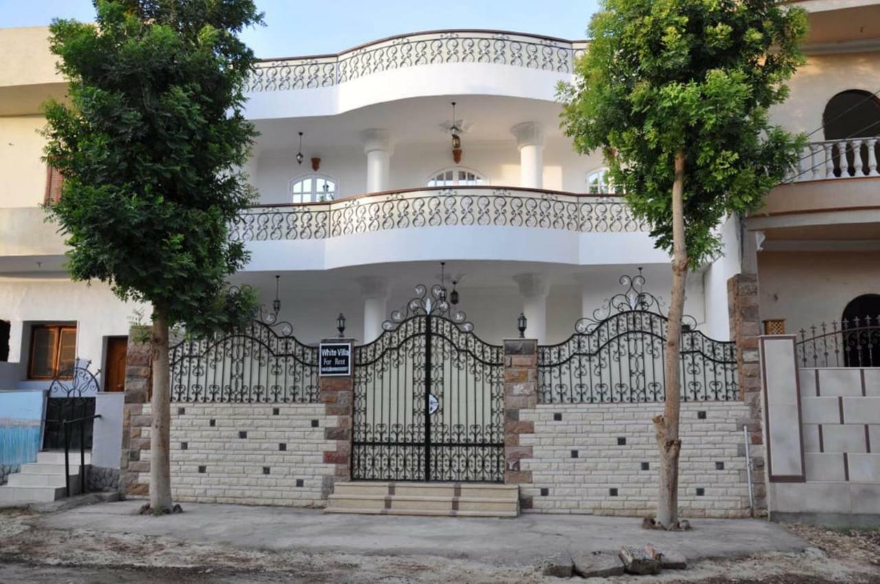 White Villa Λούξορ Εξωτερικό φωτογραφία